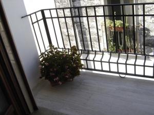 マンドゥーリアにあるB&B Abitazione Sandraの窓際の鉢植えのバルコニー