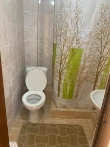 a bathroom with a toilet and a shower curtain at Берег in Bosteri