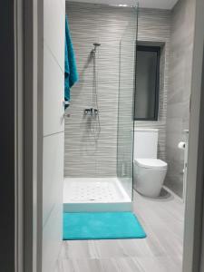 a bathroom with a shower with a blue floor at A Ground Floor Maisonette - Mellieha Bay in Is-Sellum
