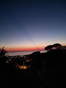a sunset view of a beach with trees at Hotel Albatros in Ischia