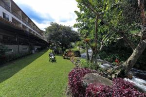 Garden sa labas ng Hotel Valle del Rio