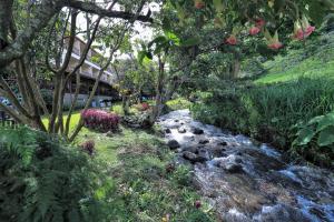 Vrt u objektu Hotel Valle del Rio