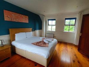 a bedroom with a large white bed with blue walls at Clós Na Feirme in Galway