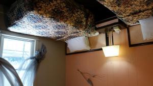 a room with a window and a curtain on the ceiling at A Voyageur's Guest House in Ottawa