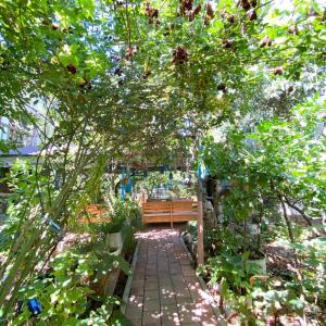 a wooden bench in a garden with trees at Likya Pansiyon in Kaleucagız