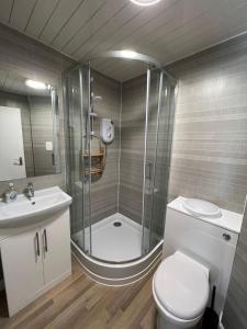 a bathroom with a shower and a toilet and a sink at Holyrood Duplex 3- Bedrooms Apartment in Edinburgh