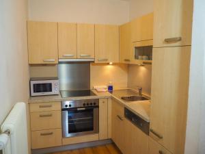 Kuchyň nebo kuchyňský kout v ubytování Ottl's Appartement O2