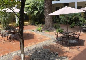 Zahrada ubytování Hotel Allende Morelia