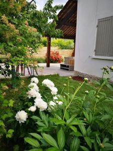 un jardin avec des fleurs blanches en face d'un bâtiment dans l'établissement Maison 3 étoiles avec jardin pour familles, sportifs, curistes..., à Digne-Les-Bains