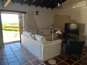 a living room with a couch and a television at Casa do Lagar - Villa com piscina in Carvalhais