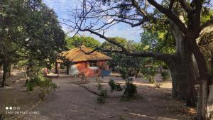 Afbeelding uit fotogalerij van NaturUbuntu in Kafountine