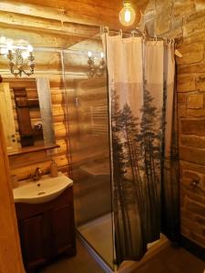 a bathroom with a shower and a sink at Cabana Casa de Piatra, de la Mara in Deseşti