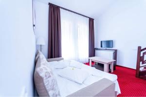 a hotel room with a bed and a window at Pensiunea Campionilor in Predeal