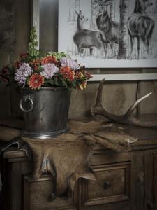 Galería fotográfica de Hotel Cervo en Sils Maria