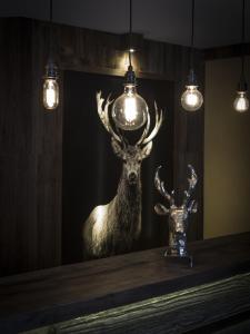 Galería fotográfica de Hotel Cervo en Sils Maria