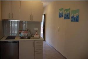 Kuchyň nebo kuchyňský kout v ubytování Xanthiotis Apartments