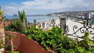 a view of a beach from a balcony with plants at Appartement bord de mer et piscine en option in Tangier