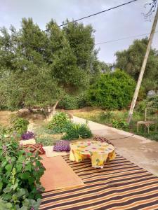 Un jardín fuera de GITE TAGMA