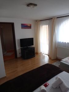 Schlafzimmer mit einem Bett und einem Flachbild-TV in der Unterkunft Casa Borza in Alba Iulia