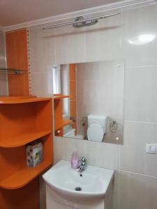 ein kleines Bad mit einem Waschbecken und einem WC in der Unterkunft Casa Borza in Alba Iulia