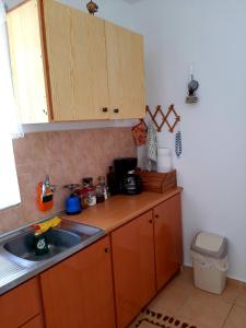 a kitchen with wooden cabinets and a sink at Lemon Garden 2 in Karídhion