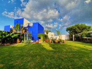 a large yard with a blue building in the background at CASA GUME - Departamentos con 2 habitaciones para 4 personas in Oaxaca City