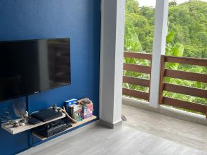 sala de estar con TV y pared azul en Un P’tit Coin de Nature, en Sainte-Anne