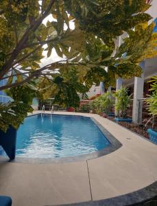 a large swimming pool with a tree in the foreground at Flor de Limão Hotel Boutique in Coroa Vermelha
