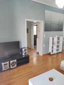 A television and/or entertainment centre at Downtown Apartment Karystos