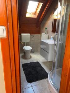 W łazience znajduje się toaleta, prysznic i umywalka. w obiekcie Aranypatkó Vendégház Lovasudvar w mieście Berzence