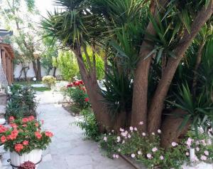 a garden with flowers and palm trees and a walkway at Epic Studios Kallithea in Kallithea Halkidikis