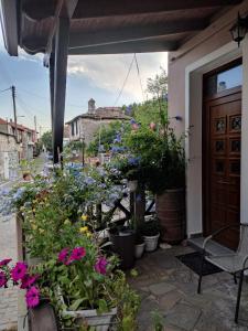 a balcony with lots of plants and flowers at Plumbago Apartment in Theológos