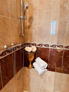 a bathroom with a shower with a toilet and towels at Belcanto Apartments in Český Krumlov