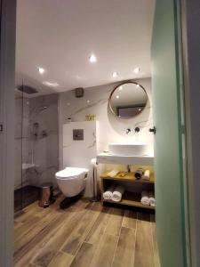 a bathroom with a toilet and a sink and a mirror at Plumbago Apartment in Theológos