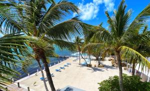 uma vista para uma praia com palmeiras e para o oceano em Pines & Palms Resort em Islamorada