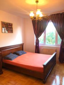 a bedroom with a large bed with a window at Vintage Bucharest apartment in Bucharest