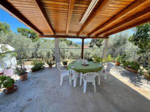 Zahrada ubytování Alexiou Guesthouse Pilion Katigiorgis