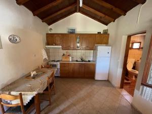 Kuchyňa alebo kuchynka v ubytovaní Alexiou Guesthouse Pilion Katigiorgis