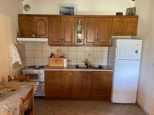 Kuchyň nebo kuchyňský kout v ubytování Alexiou Guesthouse Pilion Katigiorgis