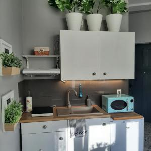 Kuchyňa alebo kuchynka v ubytovaní Apartament u Olechny 2