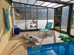 ein Wohnzimmer mit einem Hai-Spielzeug auf dem Boden in der Unterkunft Chambres d'hôtes B&B La Bergeronnette avec piscine couverte chauffée in Bizanet