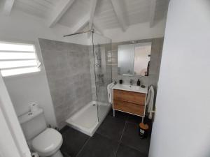 ein Bad mit einer Dusche, einem WC und einem Waschbecken in der Unterkunft Bungalow Bleu in Baie-Mahault