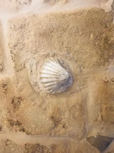 Fotografie z fotogalerie ubytování Stella Murgiana v destinaci Altamura