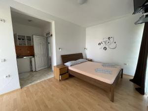 Uma TV ou centro de entretenimento em Apartmani Vila Milaris