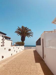 einen Weg zum Strand mit einer Palme im Hintergrund in der Unterkunft Apartment Alegría in Playa Honda