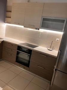 Kuchyň nebo kuchyňský kout v ubytování 4SEASONS Apartment