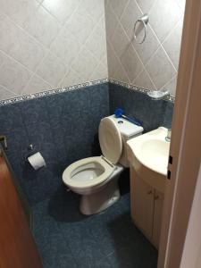 a bathroom with a toilet and a sink at Casa céntrica premium in San Pedro