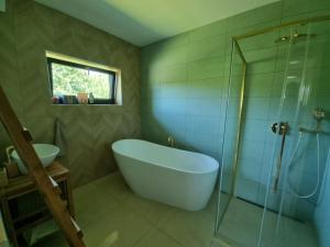 Koupelna v ubytování Casa Guzinni + 35 fotografií