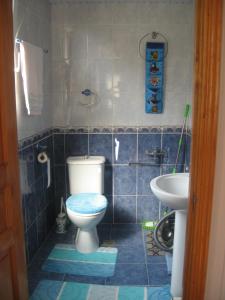Koupelna v ubytování Hostel Temuri