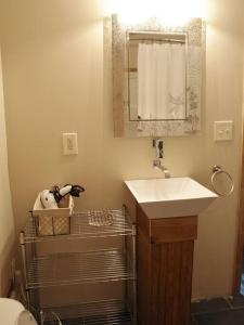 a bathroom with a sink and a mirror and a toilet at Our Private Wooded Cabin in Chatham